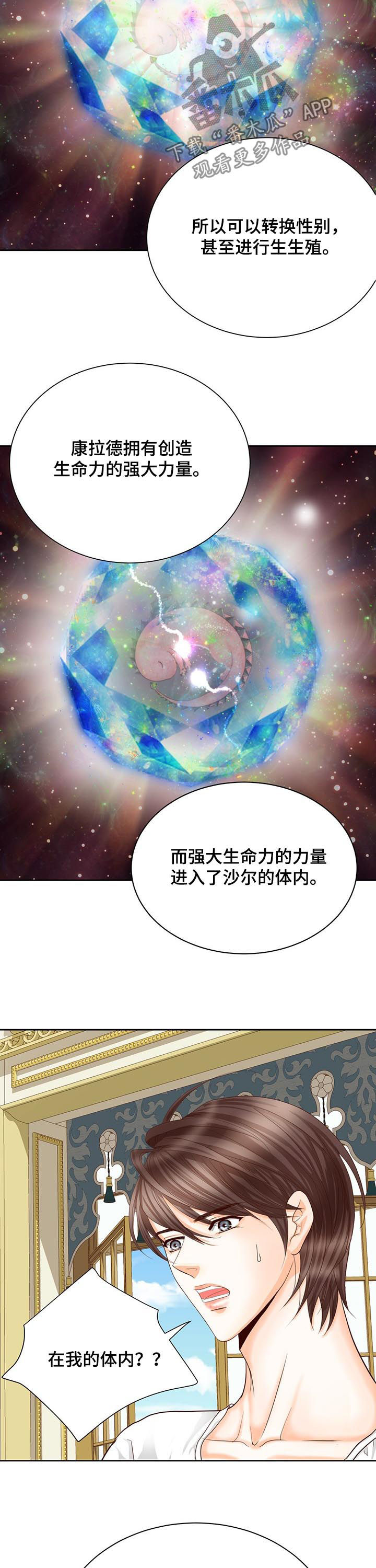 玲珑之心228漫画,第152章：番外：七个孩子3图