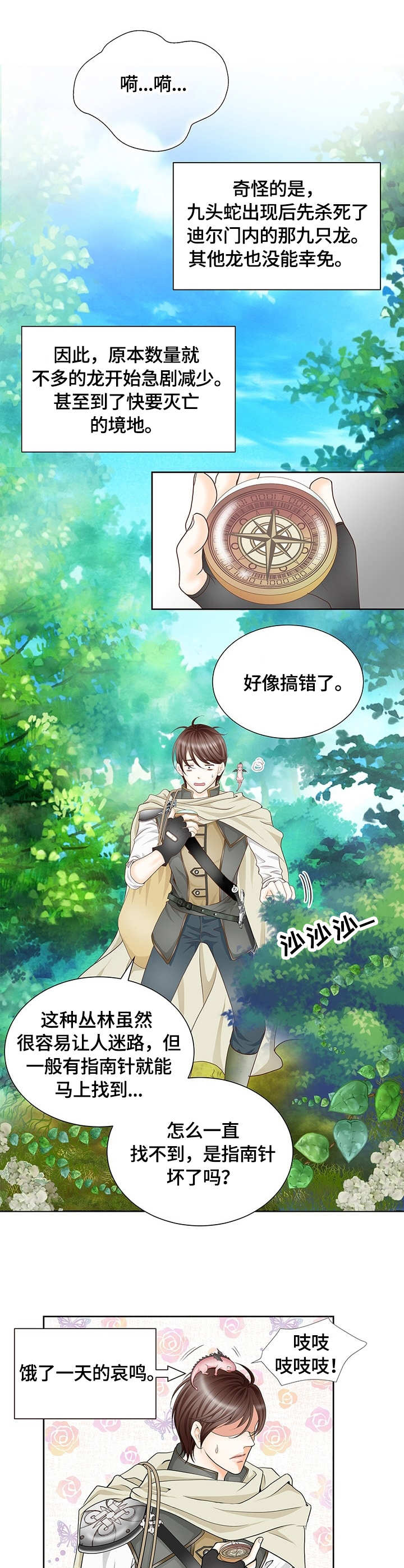 玲珑之心漫画,第1章：幼龙5图