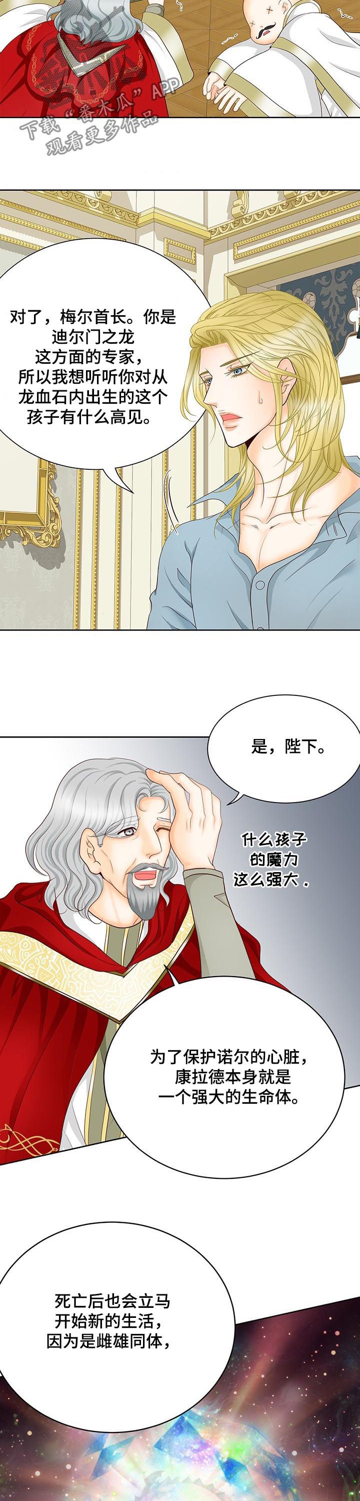 玲珑之心228漫画,第152章：番外：七个孩子2图