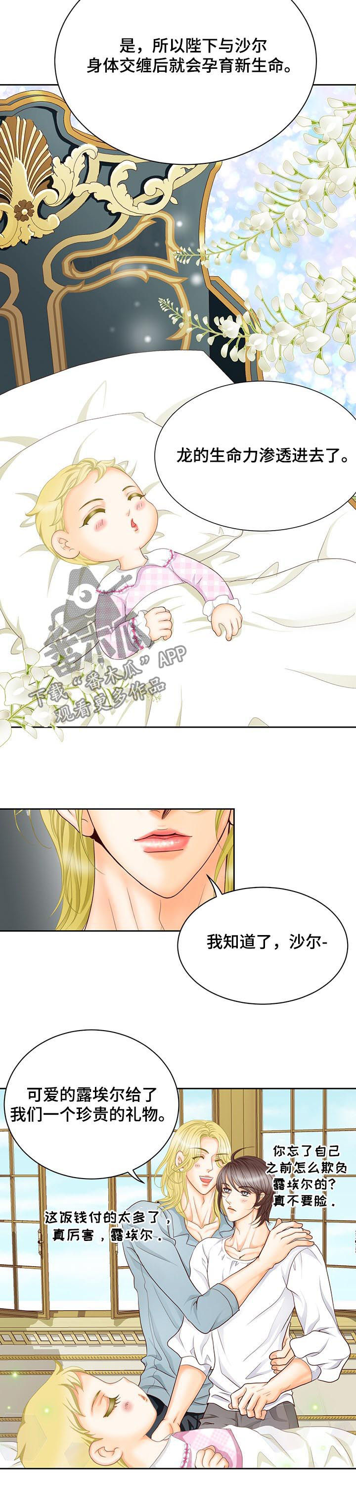 玲珑之心228漫画,第152章：番外：七个孩子4图