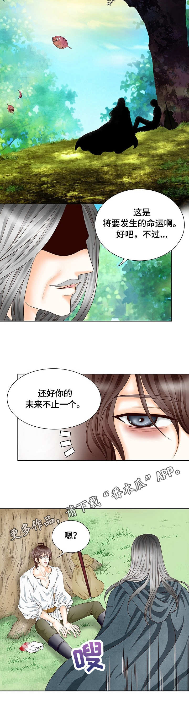 玲珑之芯漫画,第9章：大魔法师4图