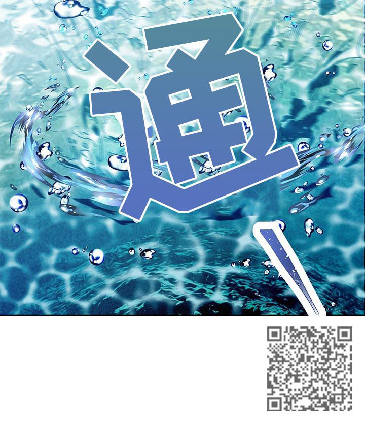 玲珑之心漫画,第100章：身份信息4图