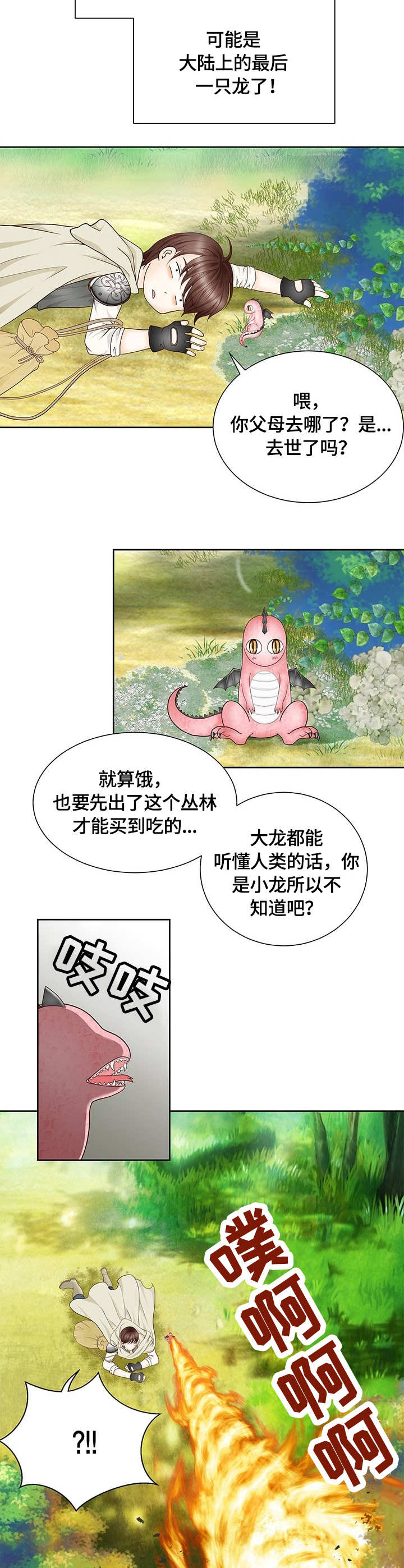 玲珑之心漫画,第1章：幼龙2图