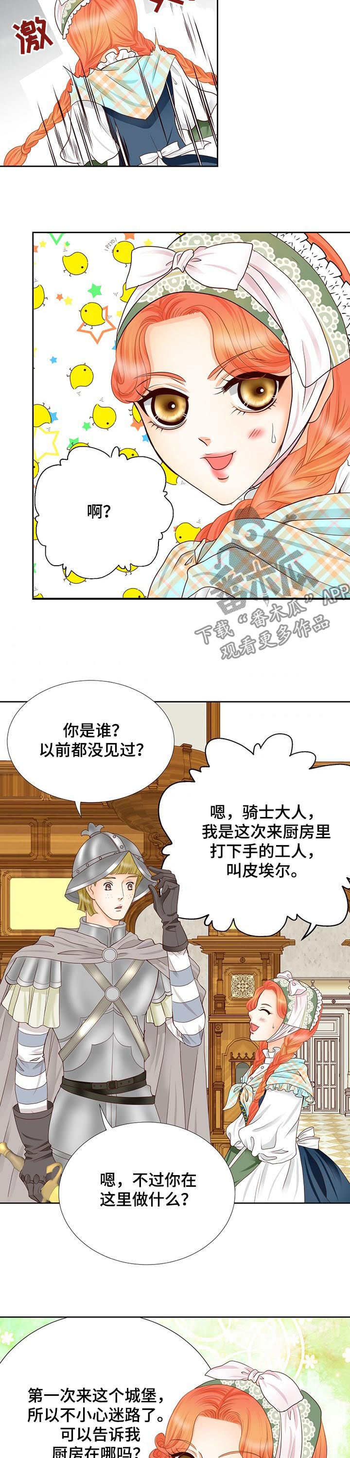 玲珑之心漫画,第100章：身份信息3图