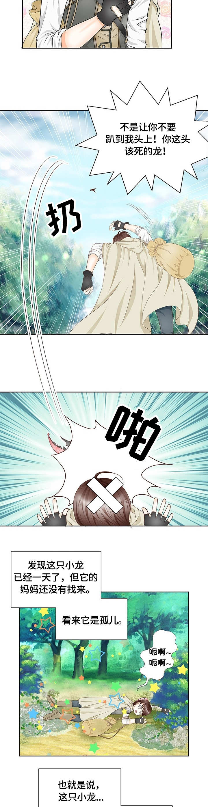 玲珑之心漫画,第1章：幼龙1图