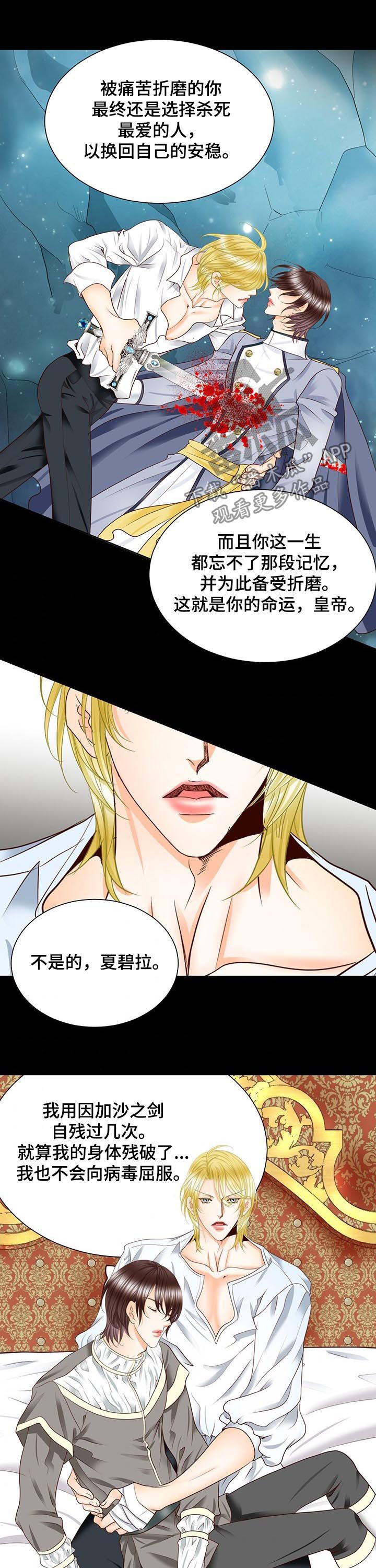 玲珑之光怎么搭配阵容漫画,第93章：诅咒3图