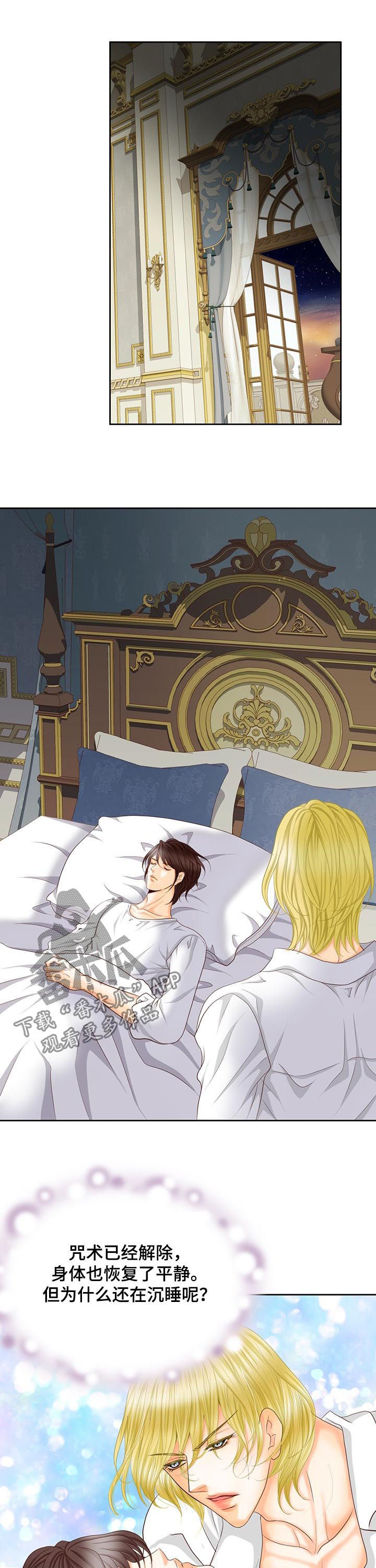 玲珑之心漫画,第150章：番外：出生顺序4图