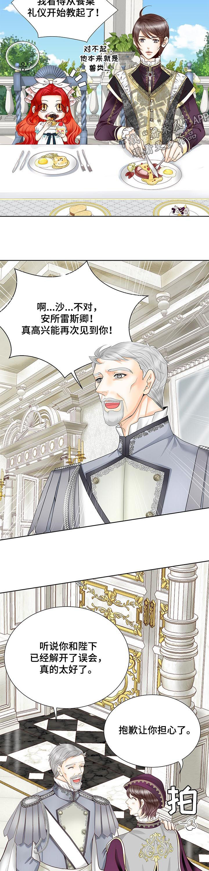 玲珑之心漫画,第75章：找答案4图