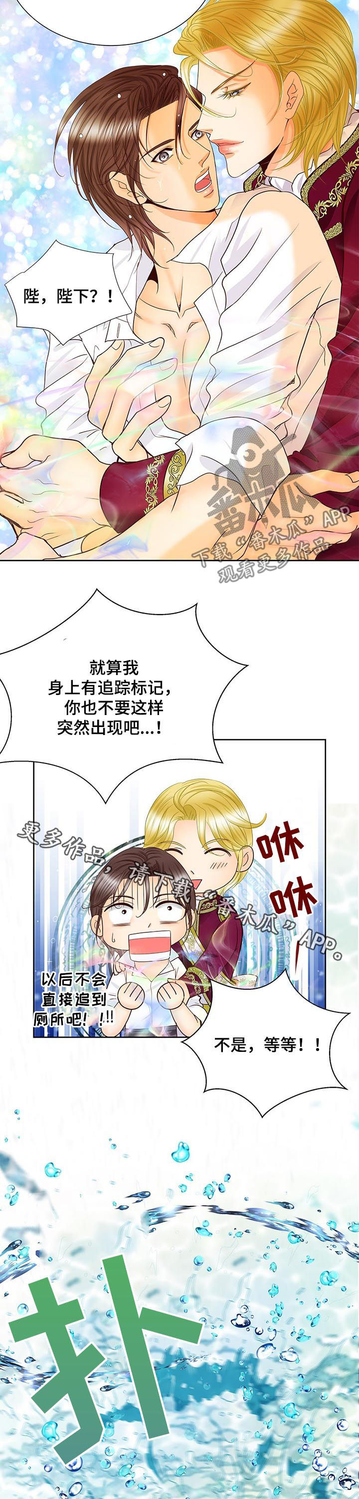 玲珑之心漫画,第100章：身份信息3图