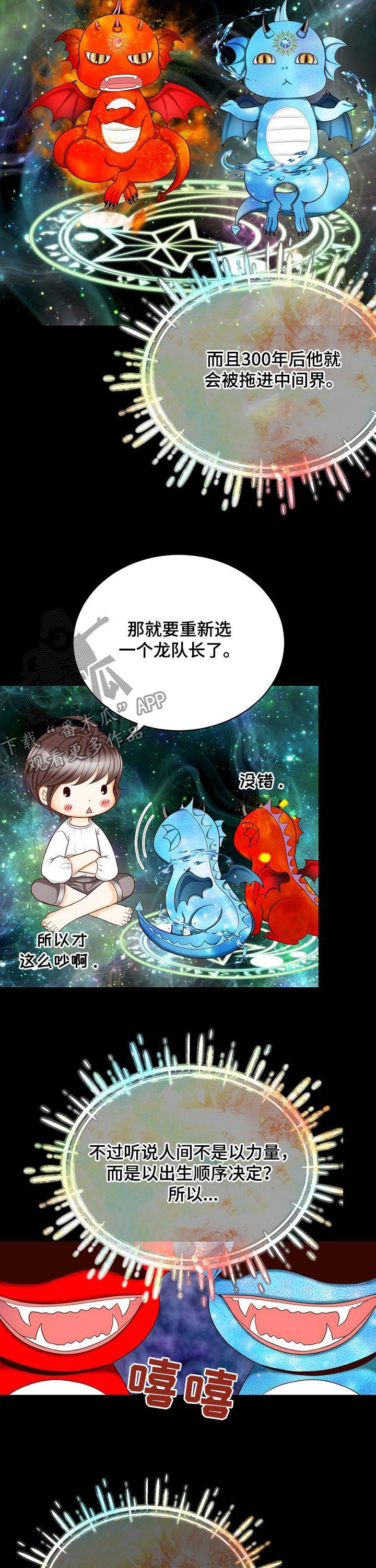 玲珑之心漫画,第150章：番外：出生顺序4图