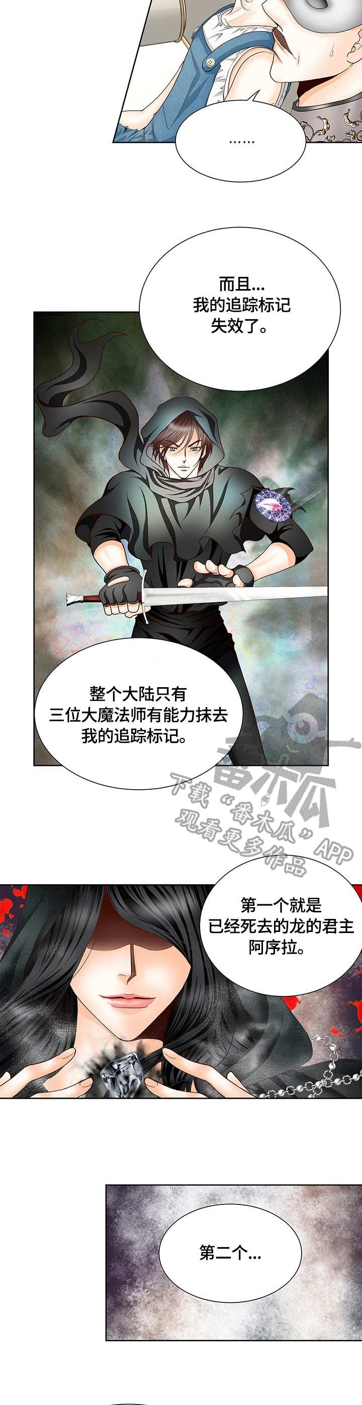 玲珑之光怎么搭配阵容漫画,第17章：嫌疑人3图