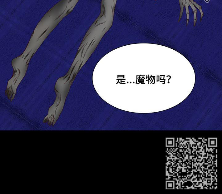 玲珑之心的意思是什么漫画,第88章：魔物3图