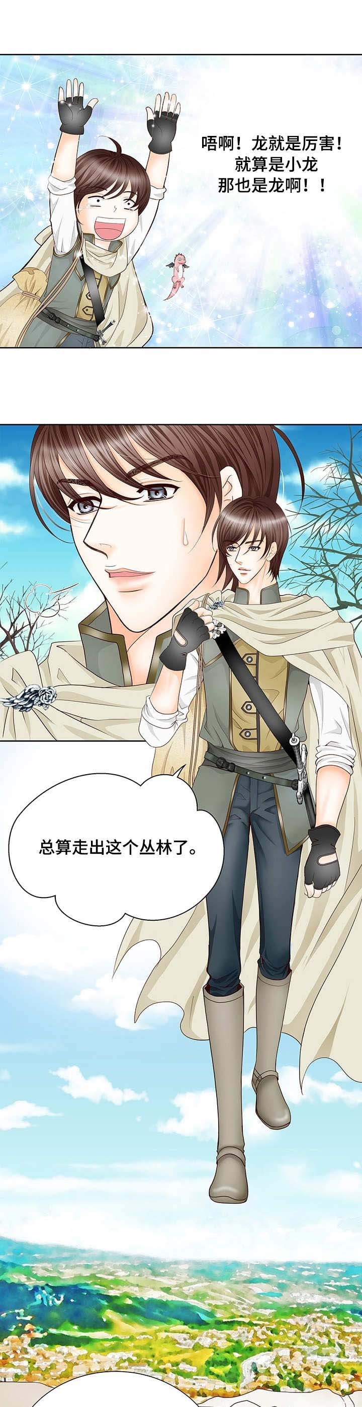 玲珑之心漫画,第1章：幼龙4图