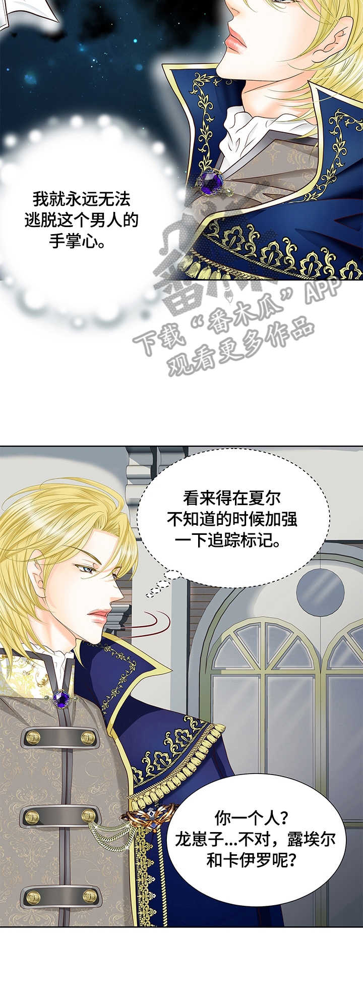 玲珑之心漫画,第71章：探口风5图