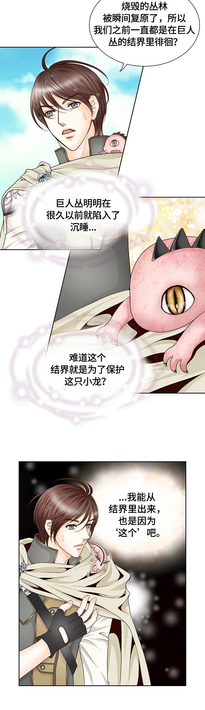 玲珑之光怎么搭配阵容漫画,第1章：幼龙2图