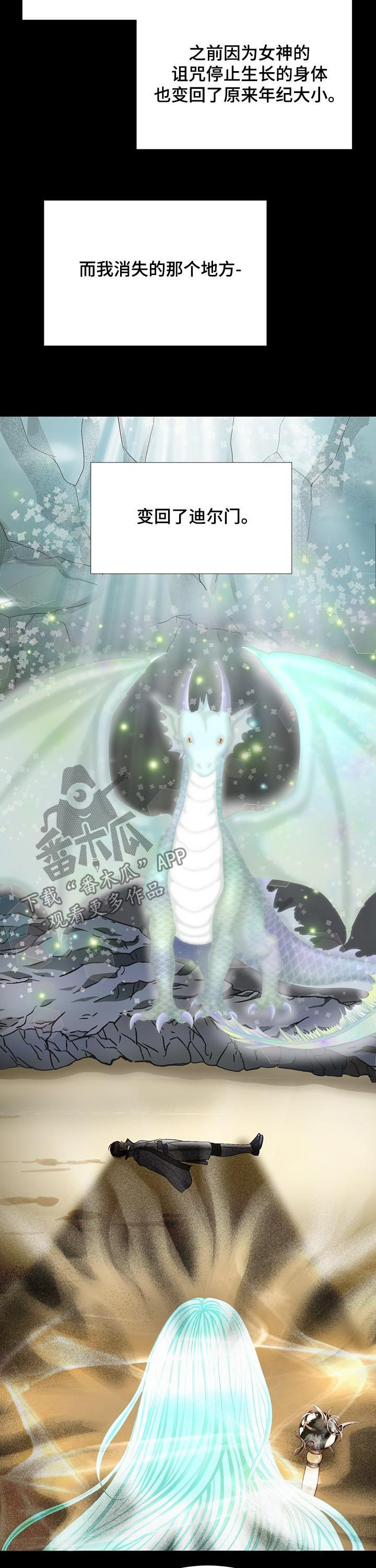 玲珑之光怎么搭配阵容漫画,第138章：番外：为了见你5图