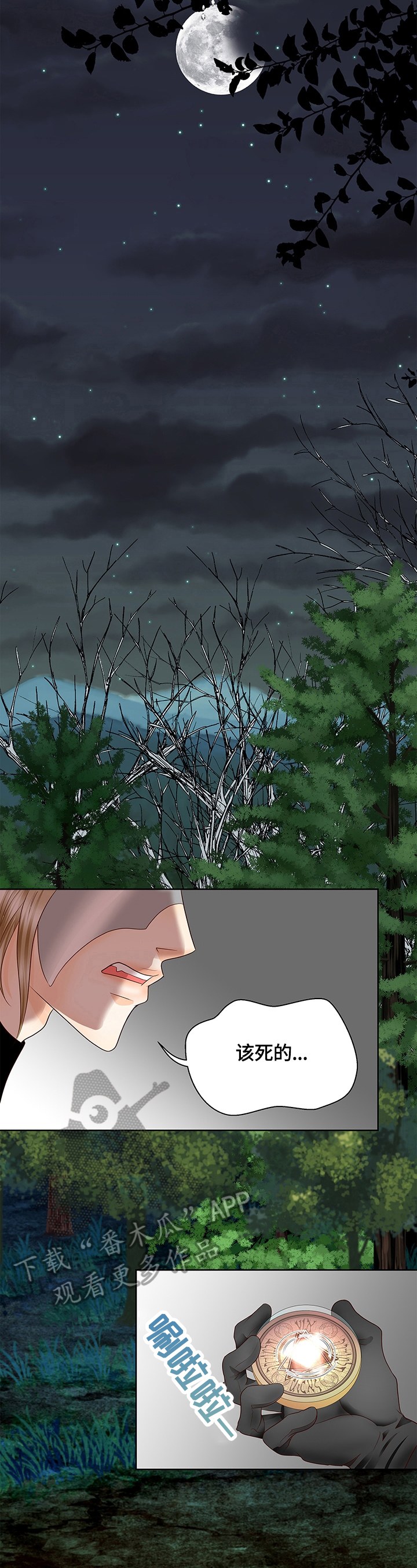 玲珑之心漫画,第73章：存疑的身份4图