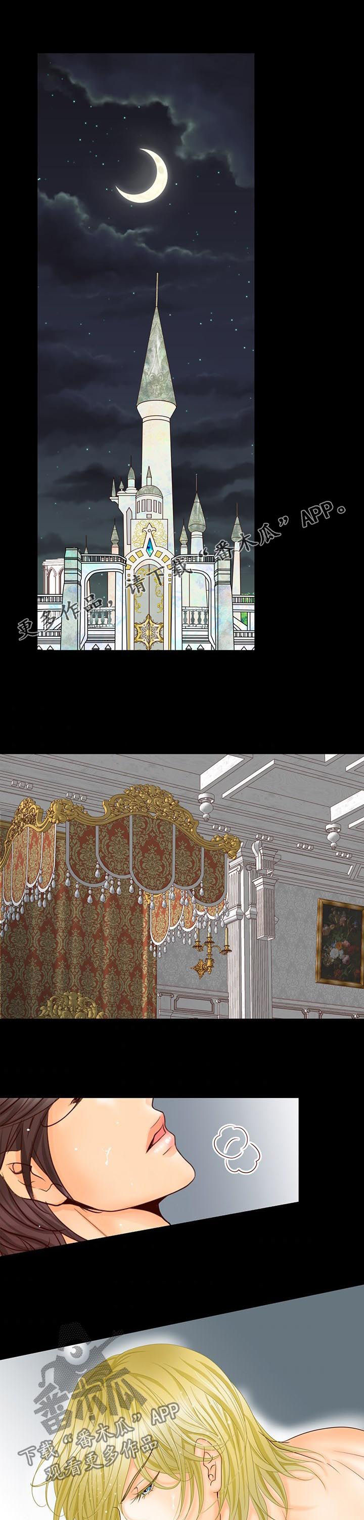 玲珑之心漫画,第97章：会议1图