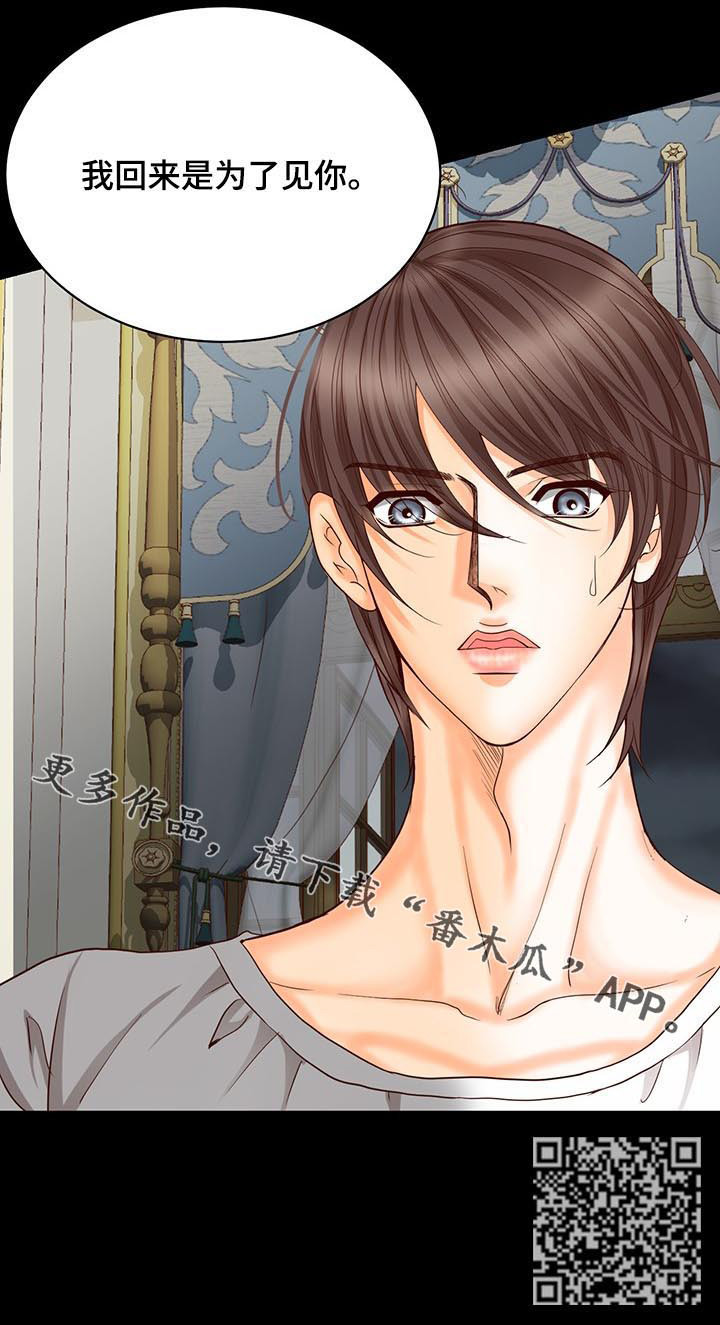 玲珑之光怎么搭配阵容漫画,第138章：番外：为了见你3图