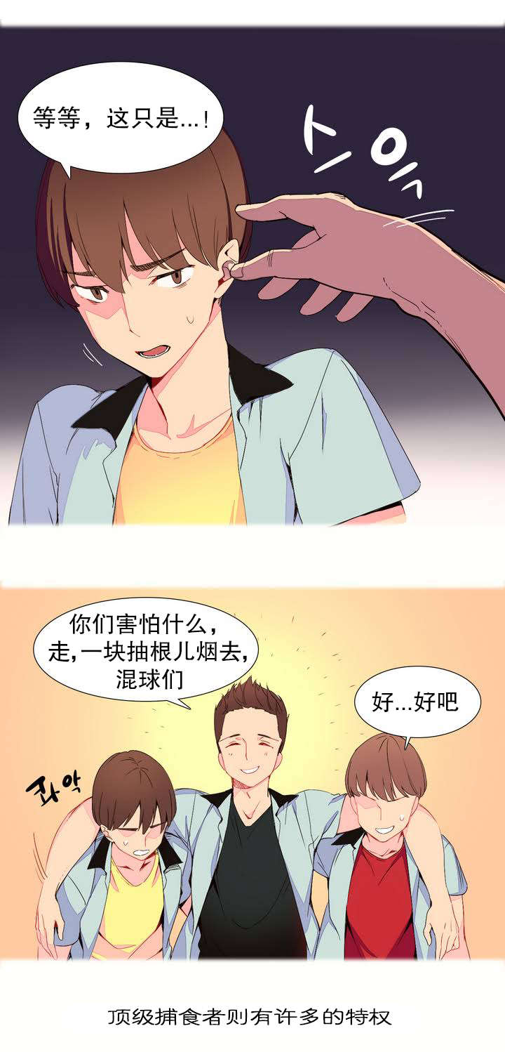 精灵小岛漫画,第1章：捕食者4图