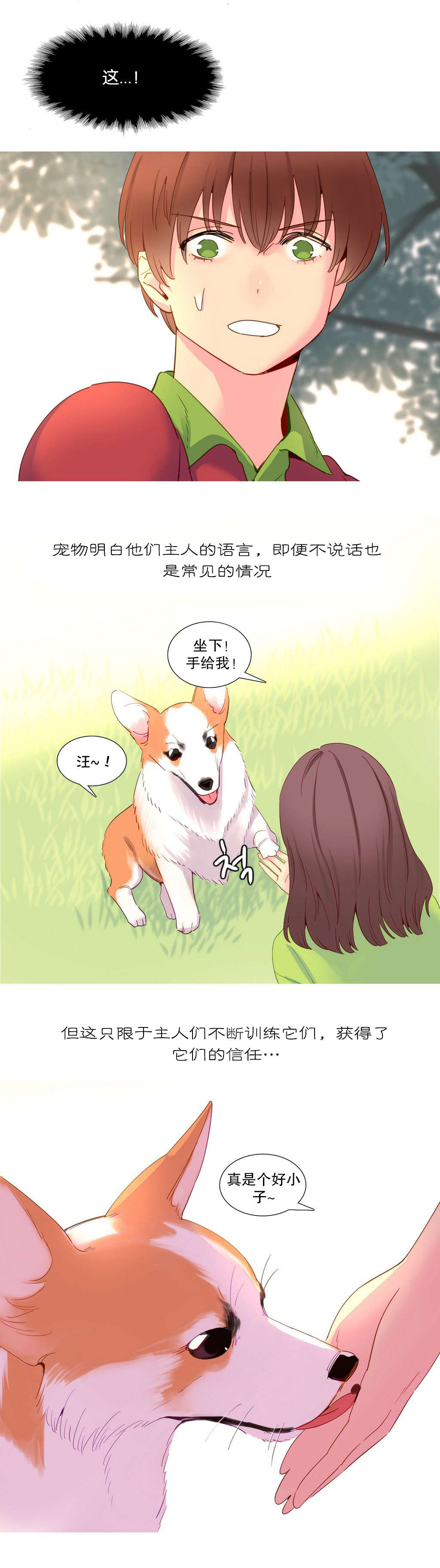 精灵小岛漫画,第15章：理解3图