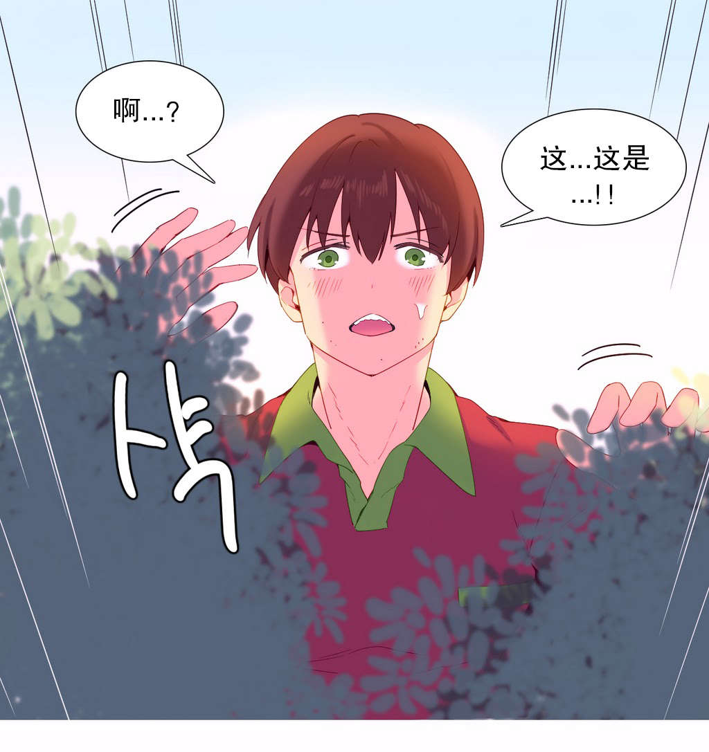 精灵小岛漫画,第12章：发现2图