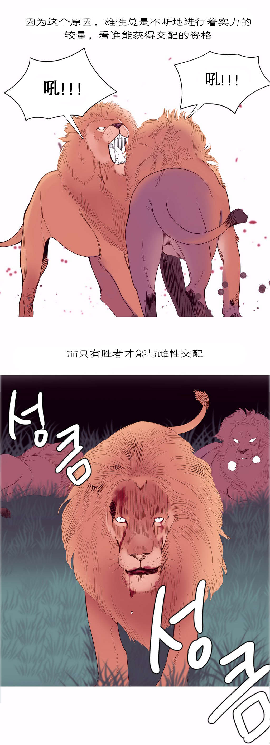 精灵小岛漫画,第10章：自由国度5图
