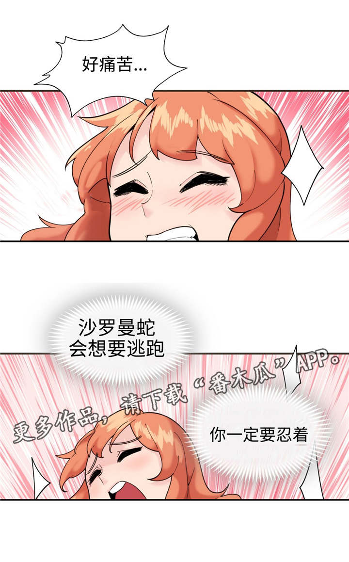 第31章：沙罗曼蛇4