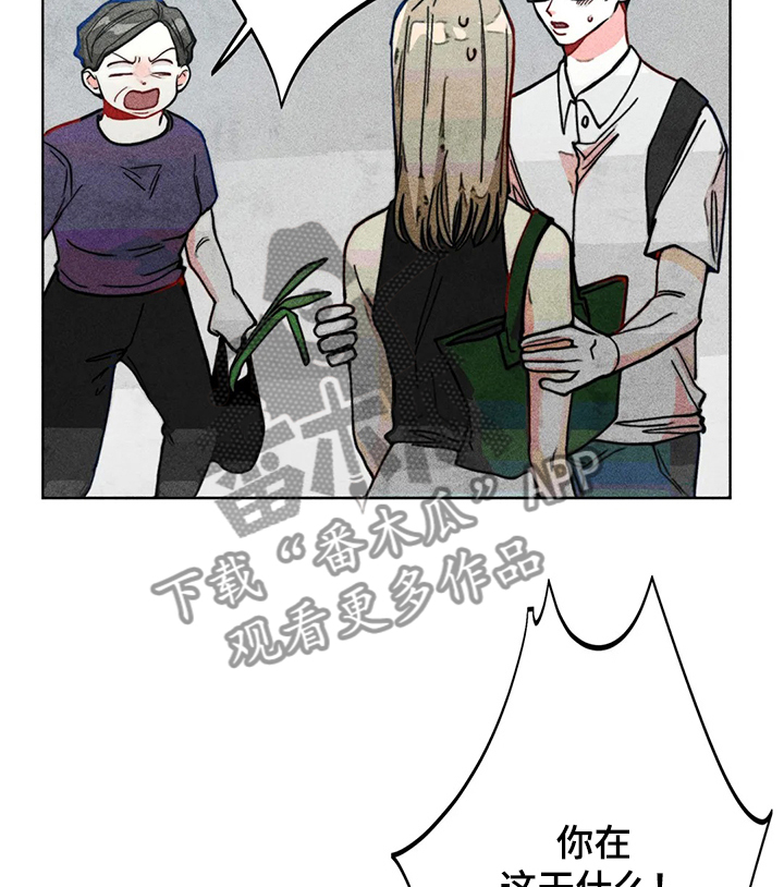 凝视人生的杨漫画,第32章：可悲的恋情4图