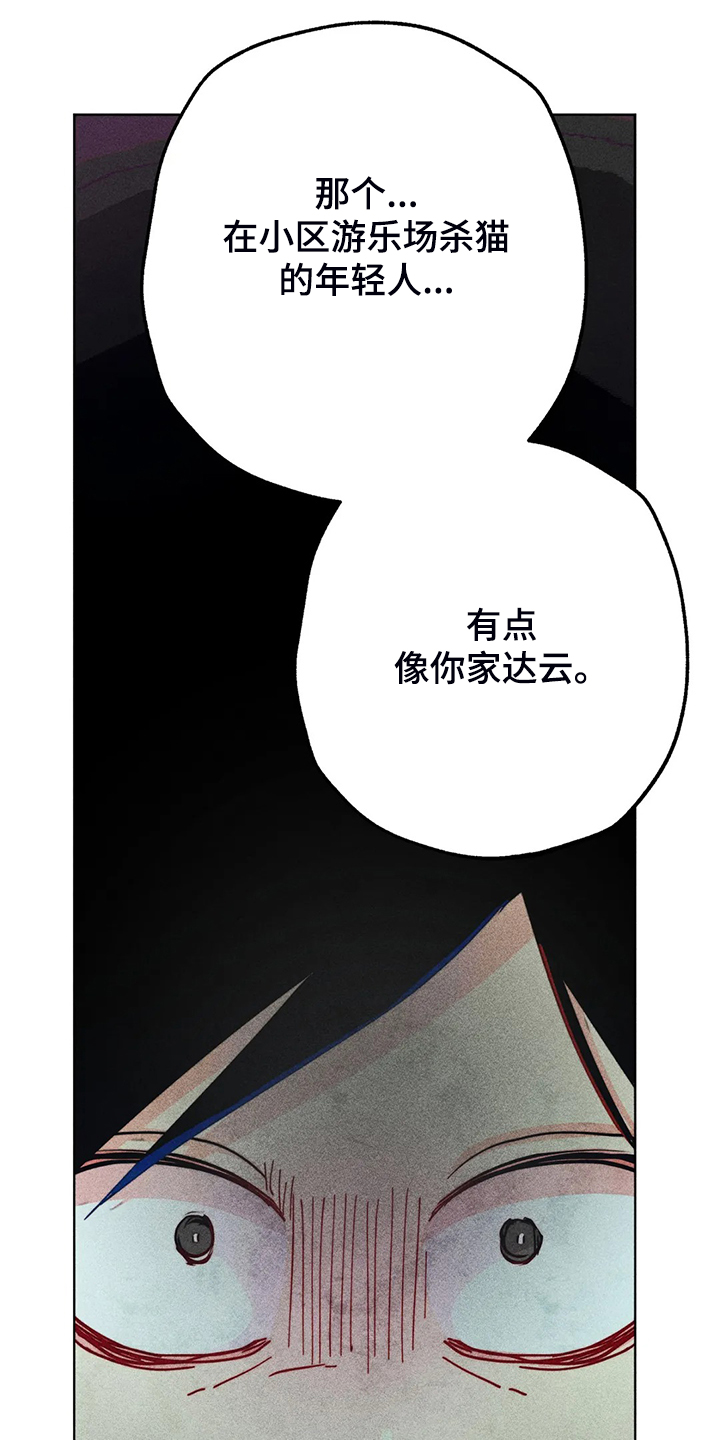 凝视人生的杨漫画,第93章：是达云杀了猫4图