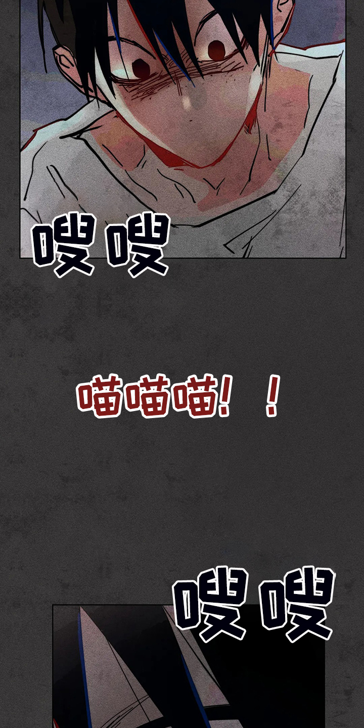 凝视R漫画,第93章：是达云杀了猫2图