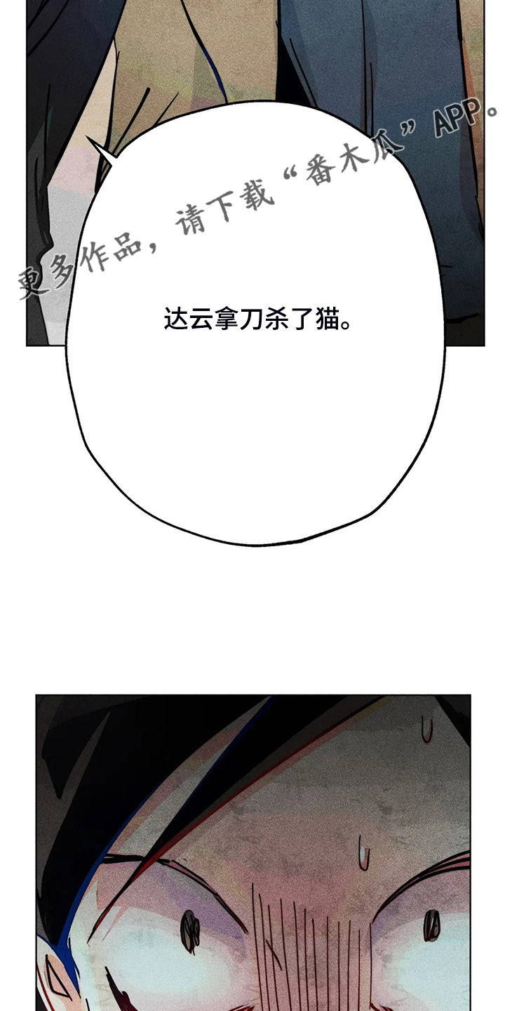 凝视人生的杨漫画,第93章：是达云杀了猫4图