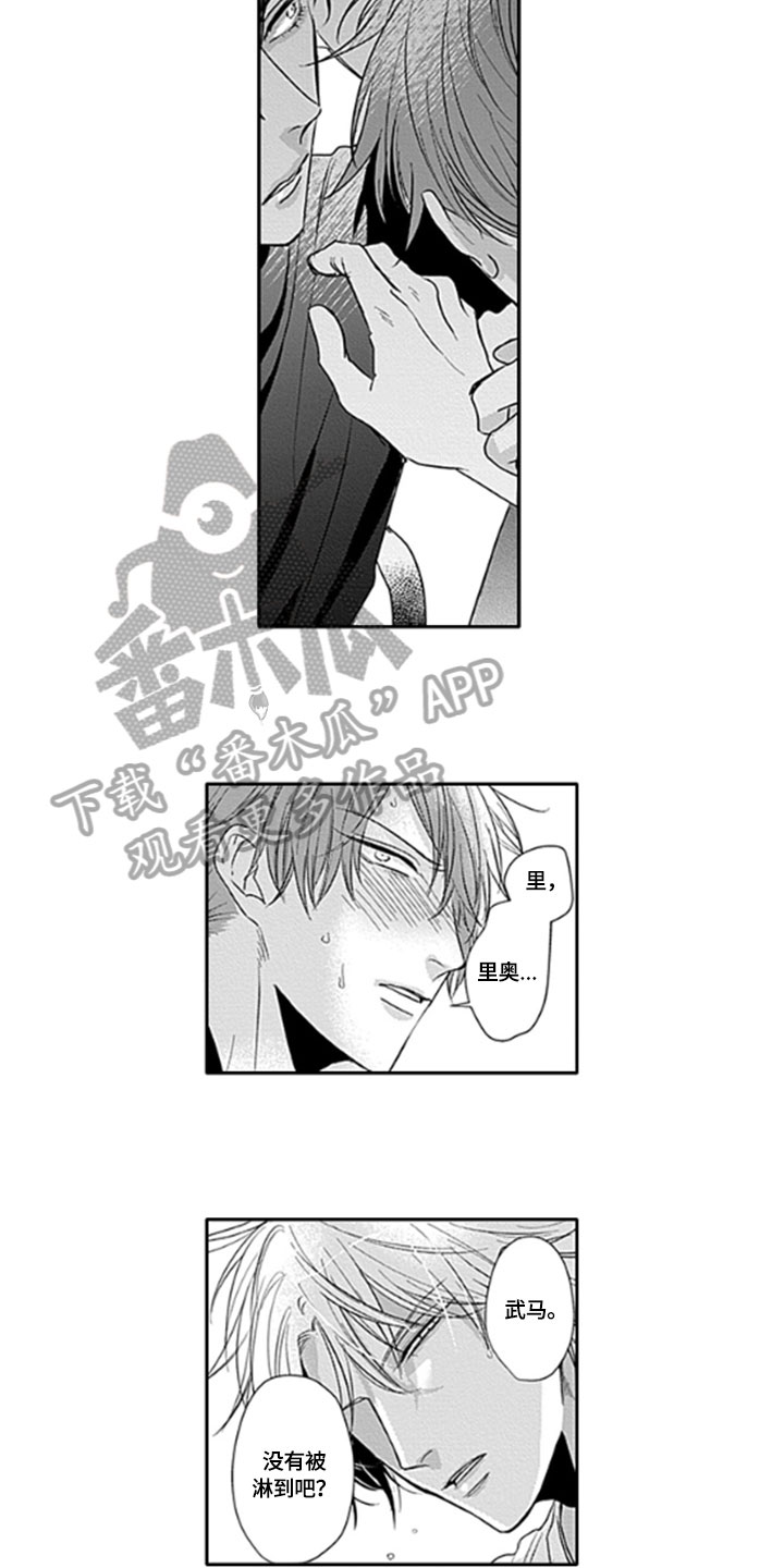 如何包含漫画,第9章：保护4图