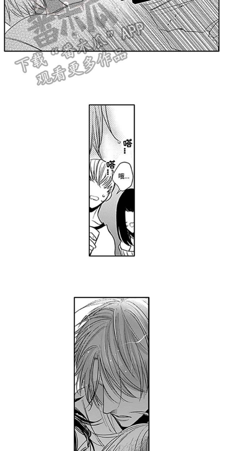 如何包含漫画,第9章：保护3图