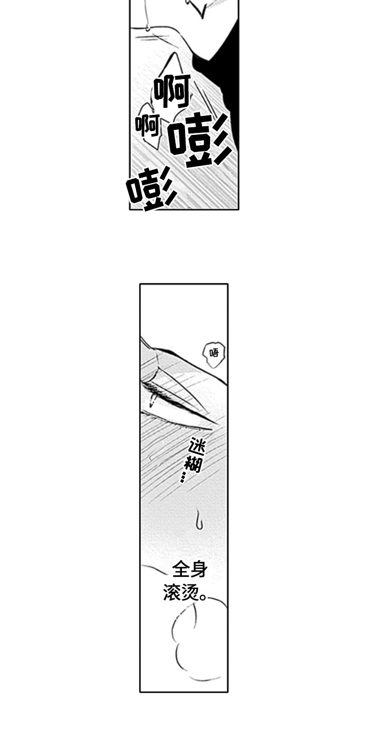如何包含漫画,第16章：很奇怪3图