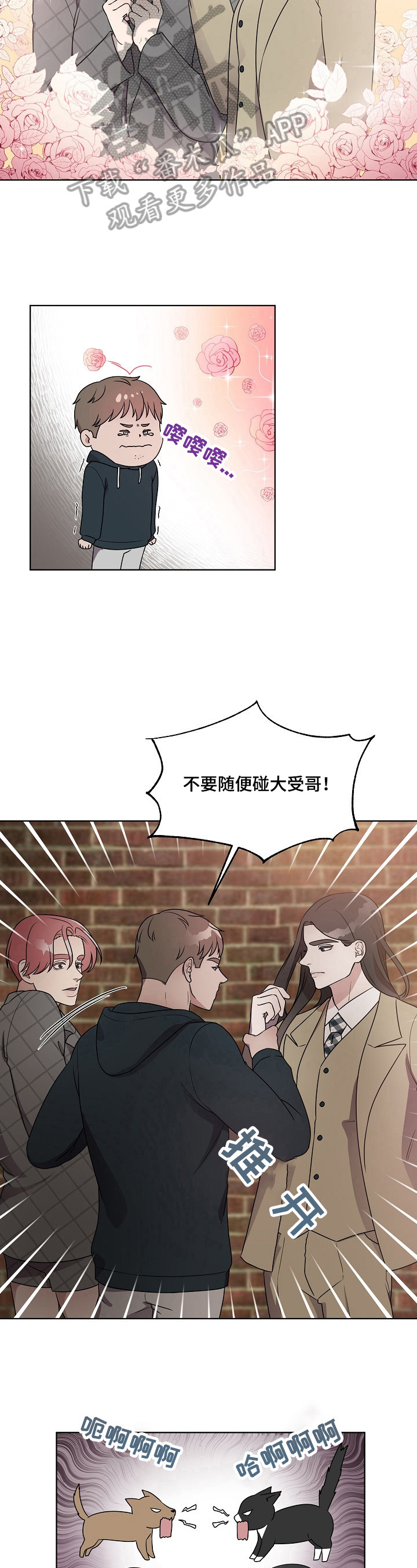 代替他的明星漫画,第17章：争锋相对4图