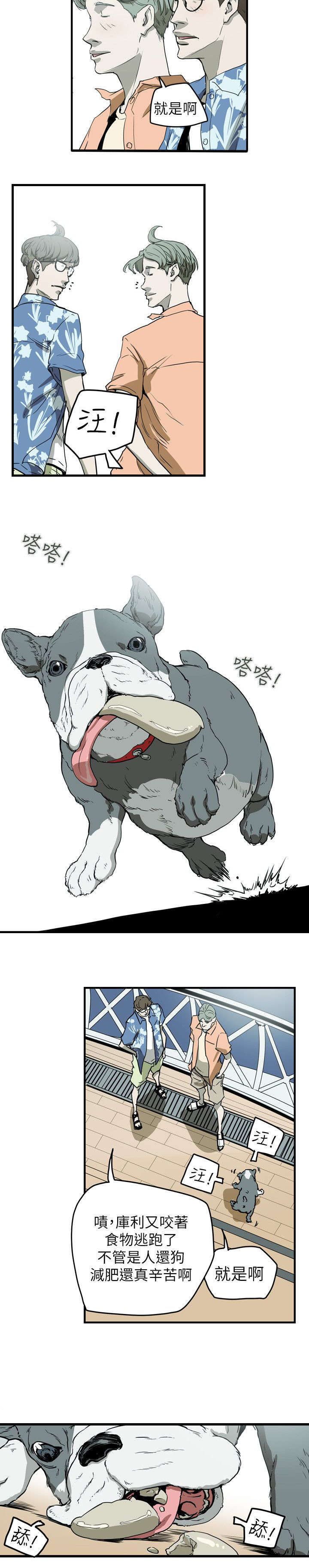 温柔的骗局漫画,第47章：往事3图