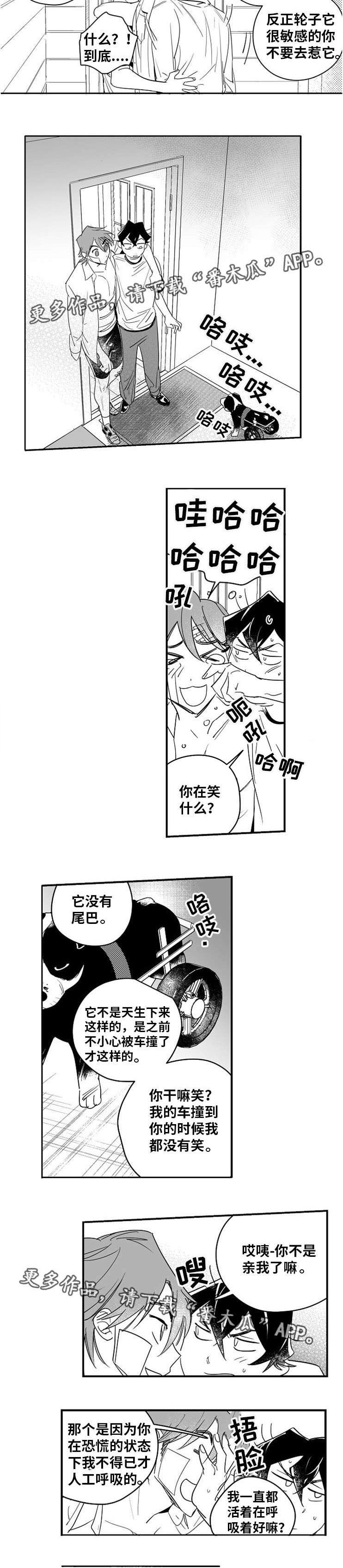 直面告白漫画,第12章：出谋划策2图