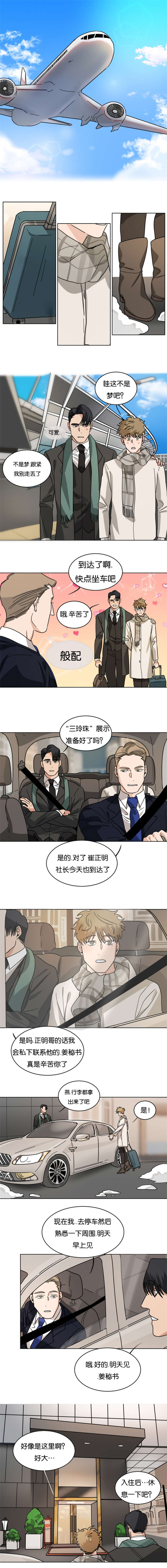 智燕赤霞珠干红葡萄酒价格漫画,第31章：出差去纽约3图