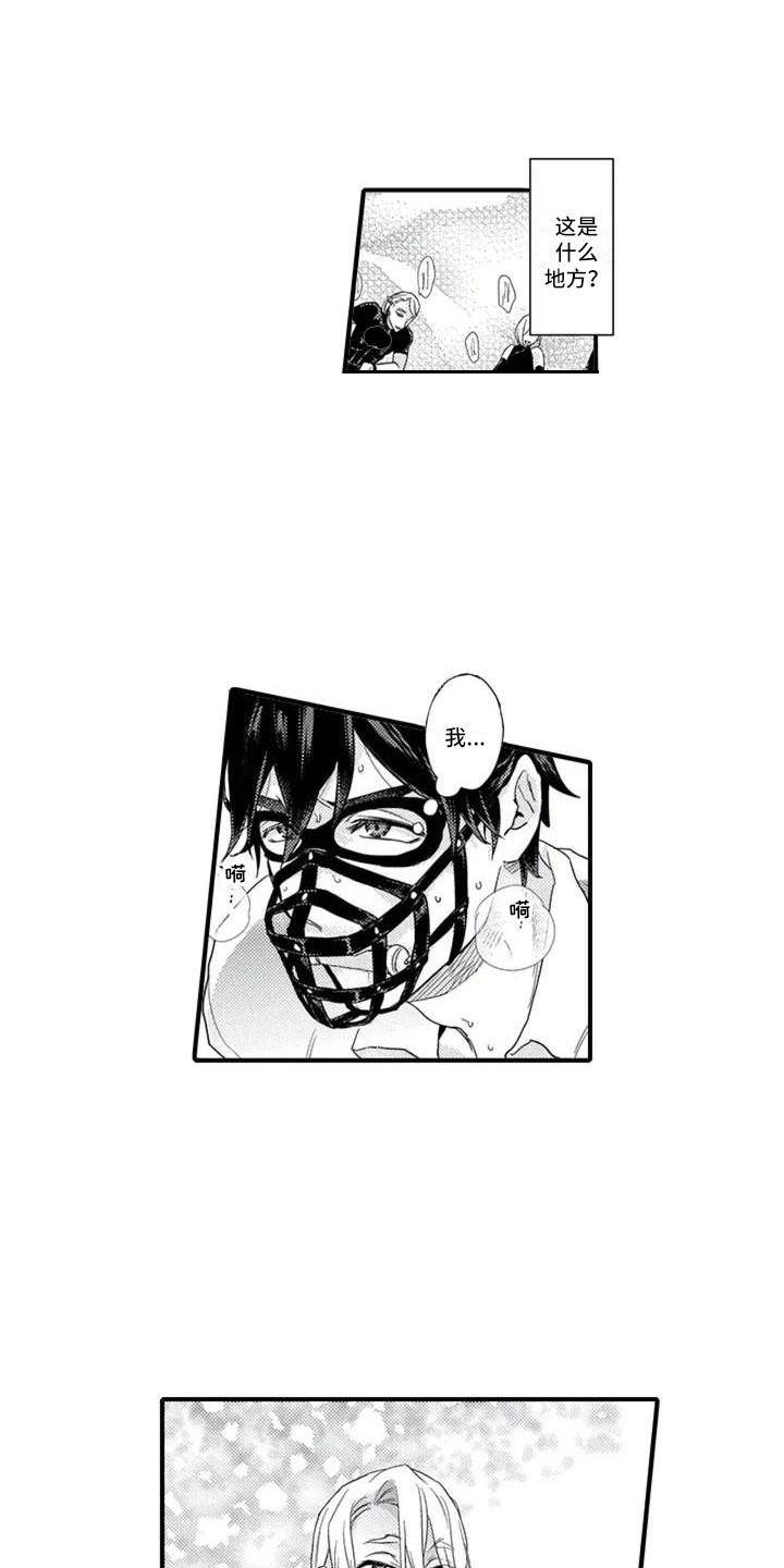 第1章：感兴趣0