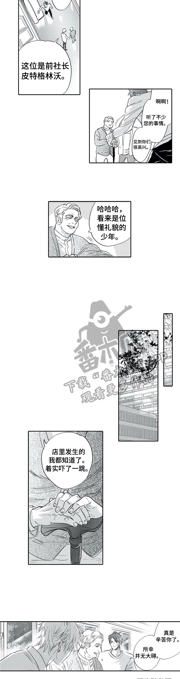 公主找骑士做保镖漫画,第12章：期望3图