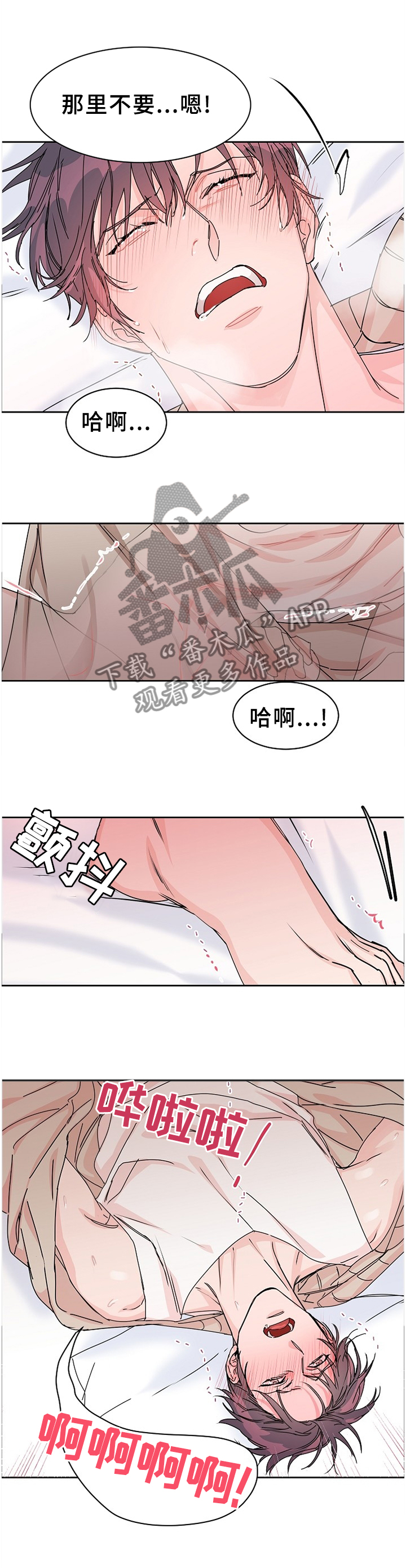 攻陷工作狂漫画,第75章：【第二季】所有的爱2图