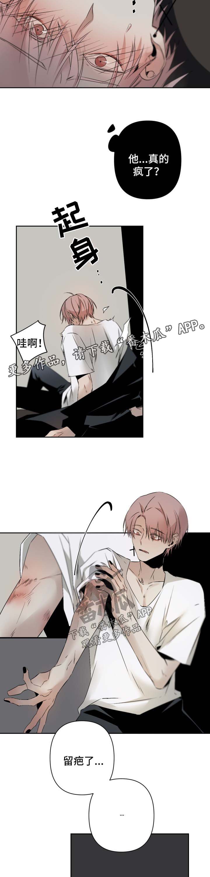 从属于会意字吗漫画,第106章：别矫情4图