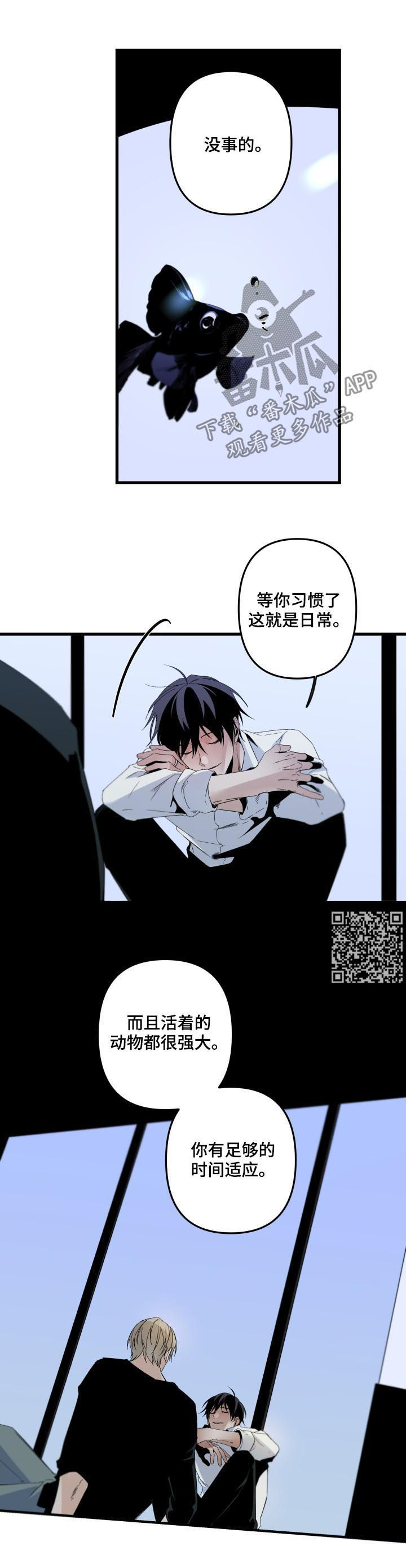 从属漫画,第139章：养鱼（第二季完结）5图