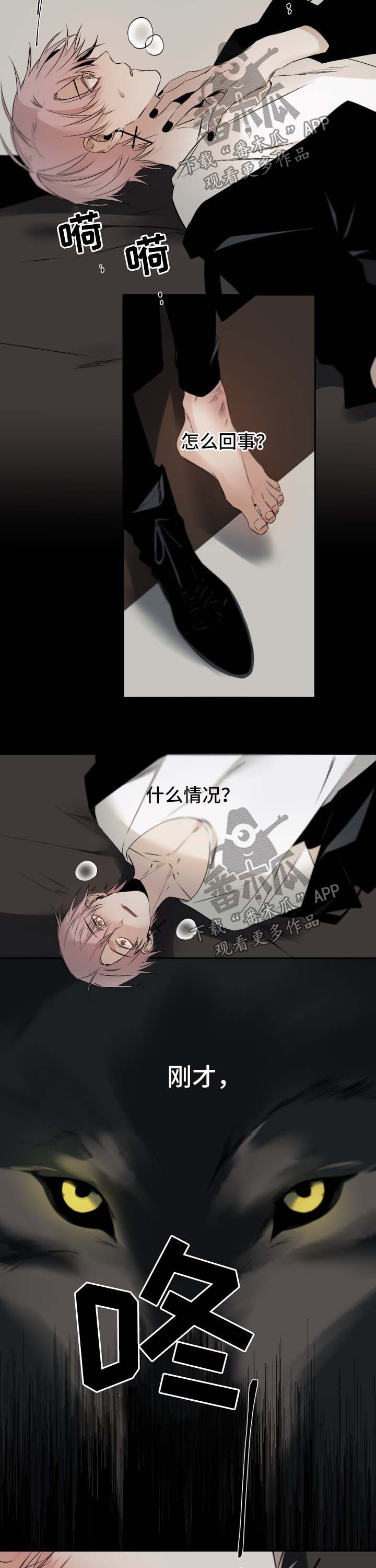 从属于会意字吗漫画,第106章：别矫情3图