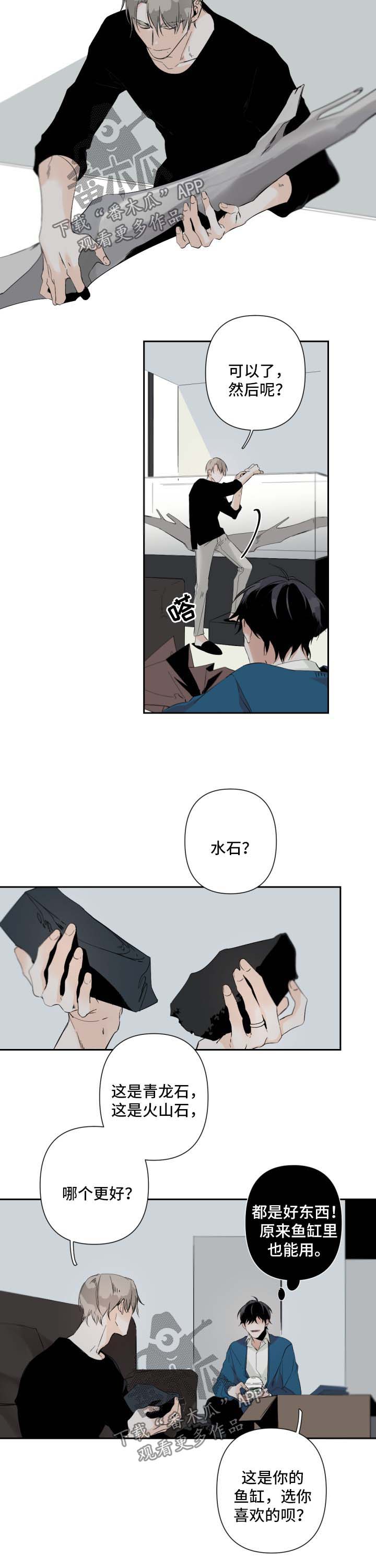 从属漫画,第58章：鱼缸环境4图