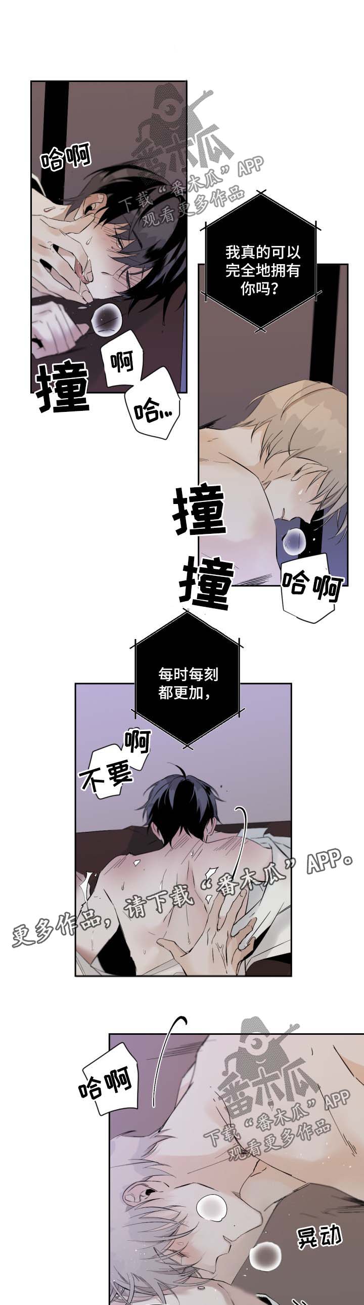 从属漫画,第65章：独占4图