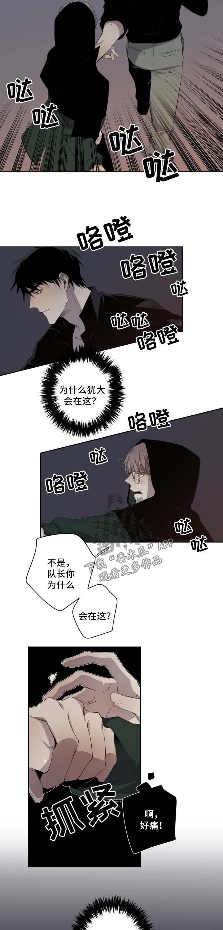从属漫画,第51章：为什么出现在这5图