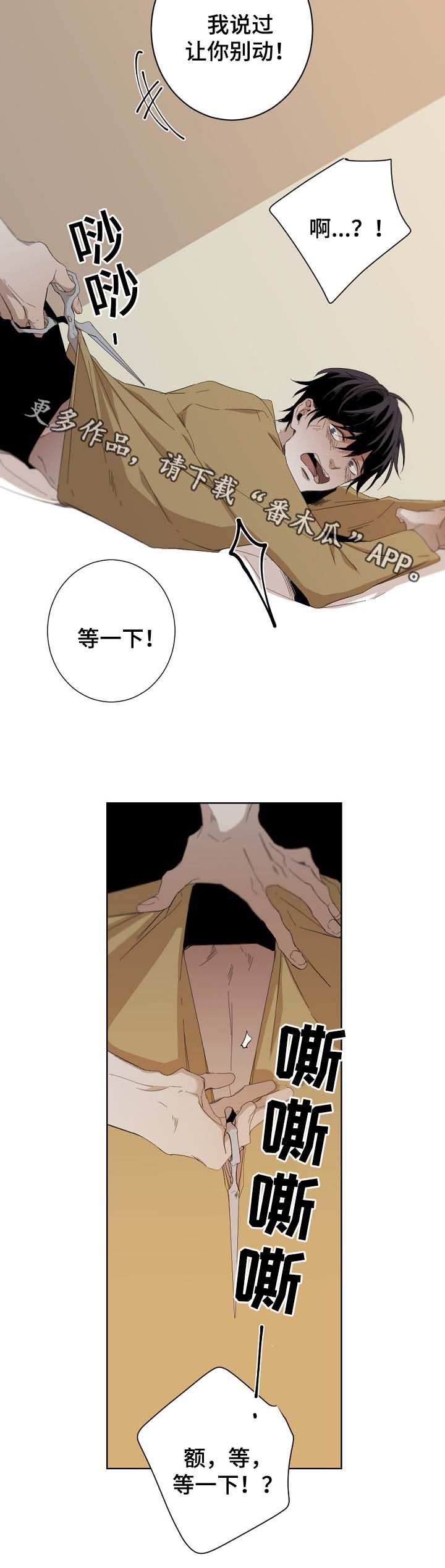 从属车骑怎么读漫画,第48章：安全词1图