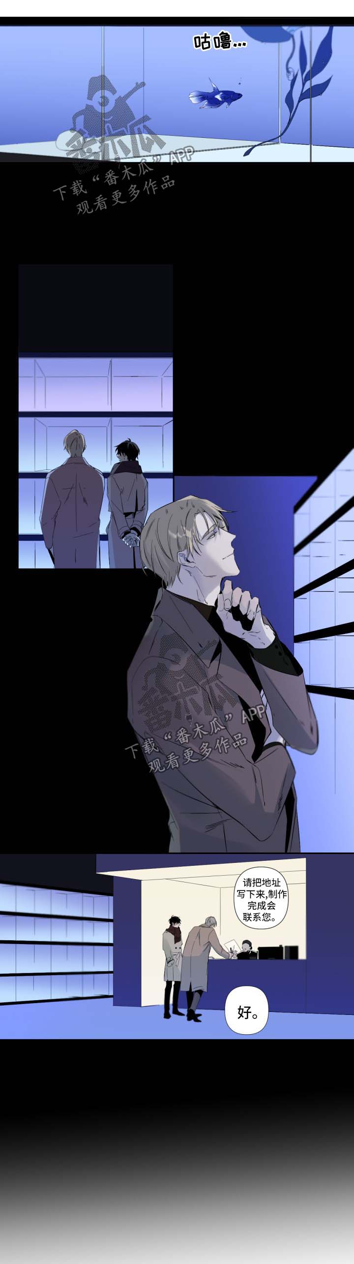 从属漫画,第58章：鱼缸环境4图